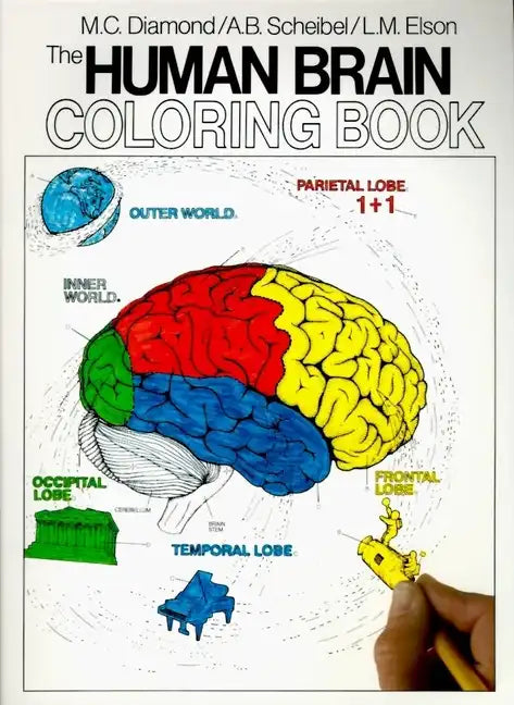 The Human Brain Coloring Book - Paperback