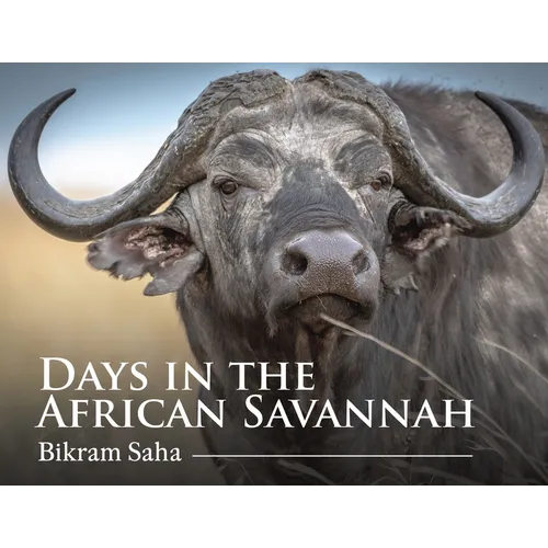 Days in the African Savannah
