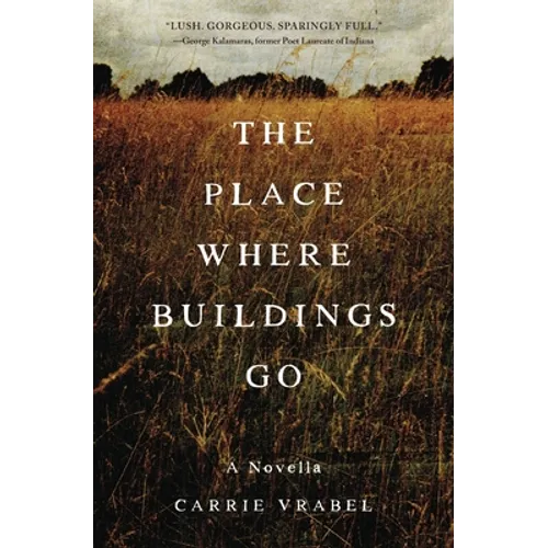 The Place Where Buildings Go - Paperback
