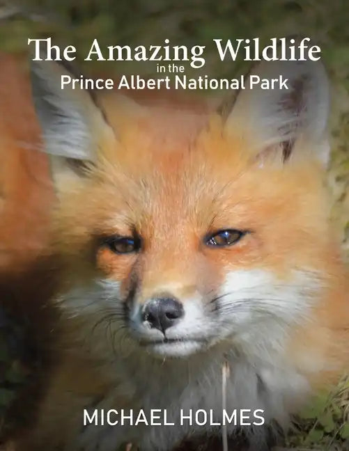 The Amazing Wildlife in the Prince Albert National Park - Paperback