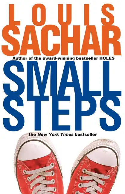 Small Steps - Paperback