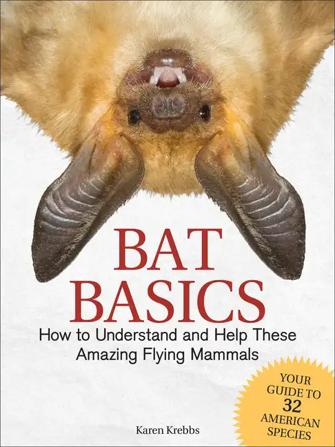 Bat Basics: How to Understand and Help These Amazing Flying Mammals - Paperback