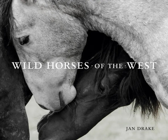 Wild Horses of the West - Hardcover