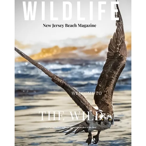 New Jersey Beach Magazine Wildlife 2024: New Jersey Wildlife