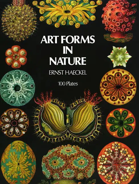 Art Forms in Nature - Paperback