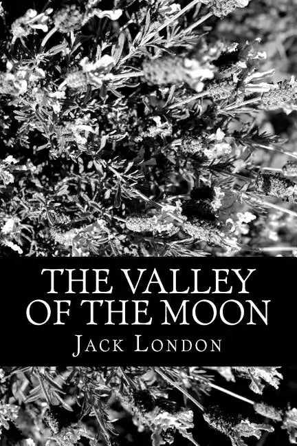The Valley of the Moon - Paperback