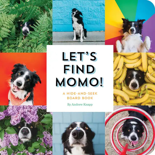 Let's Find Momo!: A Hide-And-Seek Board Book - Board Book