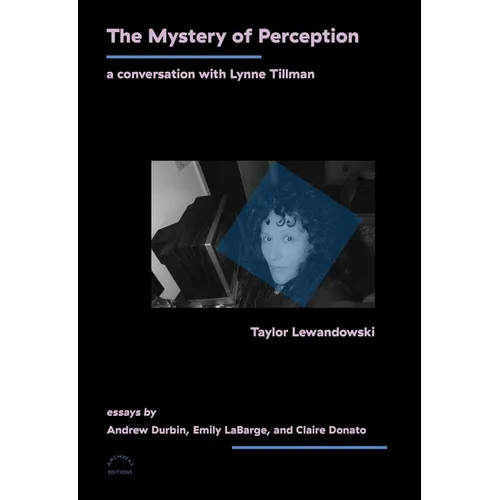 The Mystery of Perception: A Conversation with Lynne Tillman