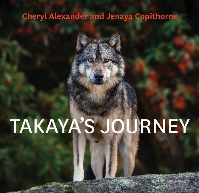 Takaya's Journey - Hardcover