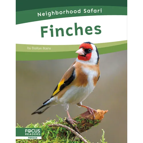 Finches - Paperback