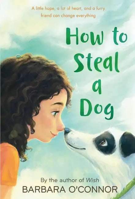 How to Steal a Dog - Paperback