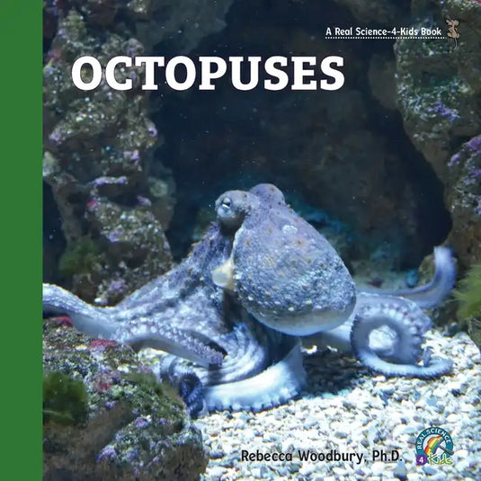 Octopuses - Paperback
