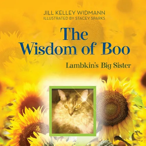 The Wisdom of Boo: Lambkin's Big Sister - Paperback