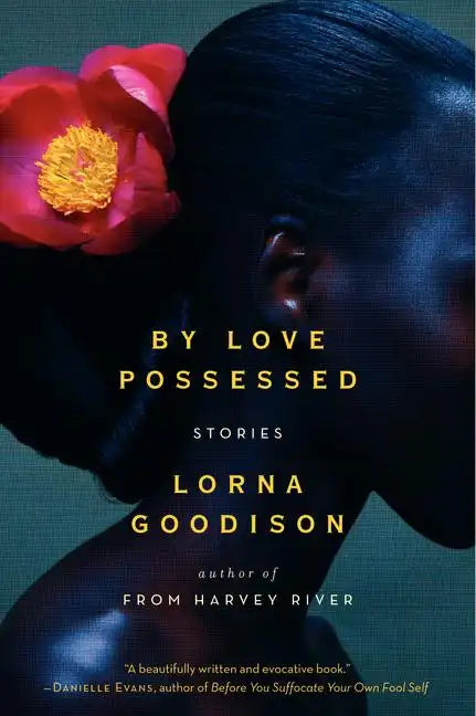 By Love Possessed: Stories - Paperback
