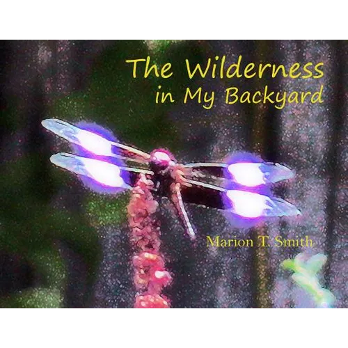 The Wilderness in My Backyard - Paperback