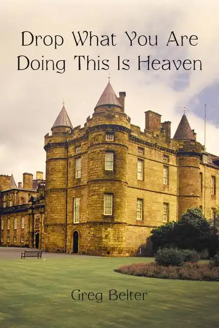 Drop What You Are Doing This Is Heaven - Paperback