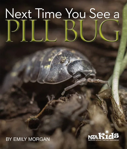 Next Time You See a Pill Bug - Paperback
