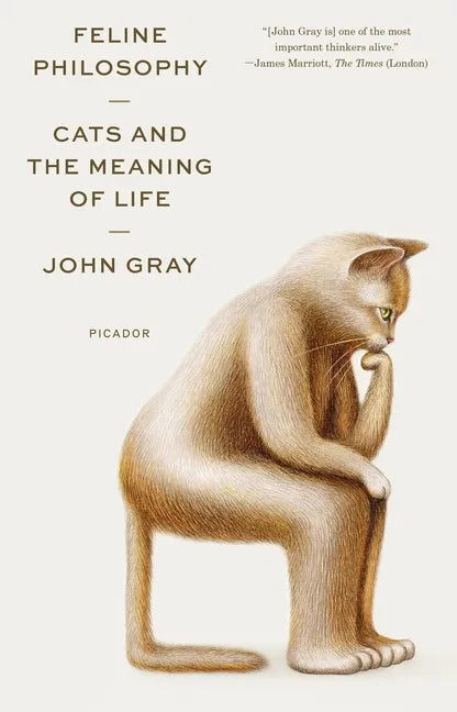 Feline Philosophy: Cats and the Meaning of Life - Paperback