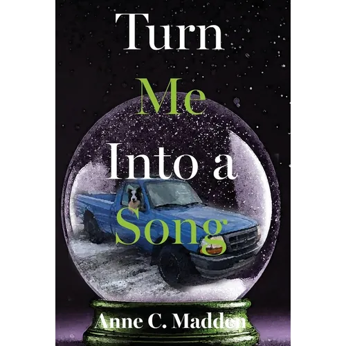 Turn Me Into a Song - Hardcover