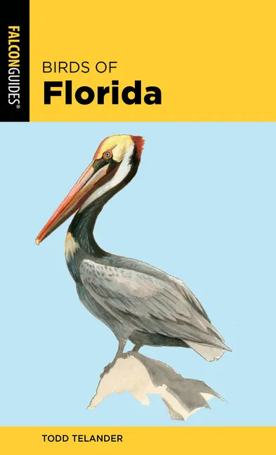 Birds of Florida - Paperback