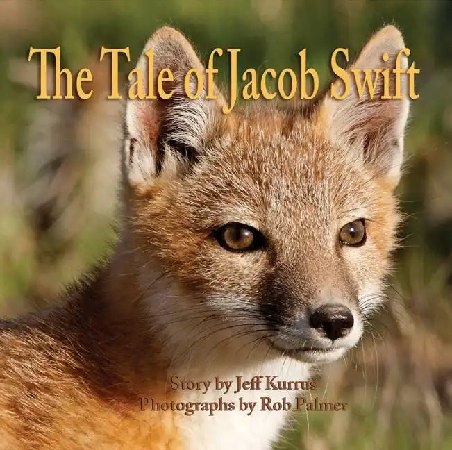 The Tale of Jacob Swift - Hardcover