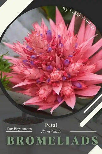 Bromeliads: Prodigy Petal, Plant Guide - Paperback