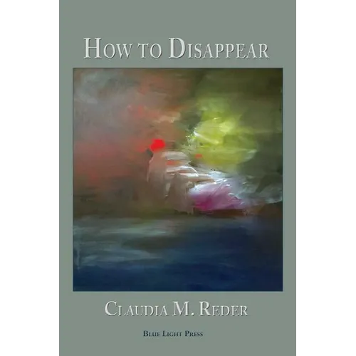 How to Disappear - Paperback