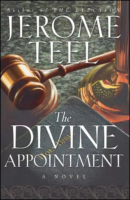 The Divine Appointment - Paperback
