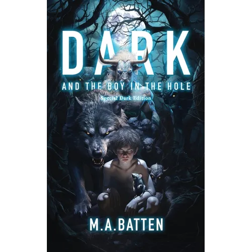 Dark: And the Boy in the Hole: Special Dark Edition - Paperback