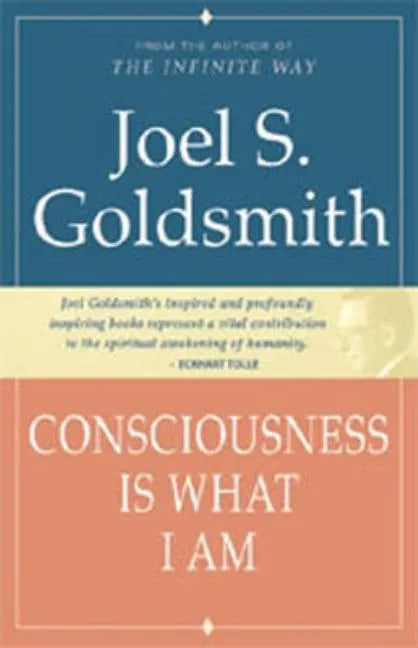 Consciousness Is What I Am - Paperback