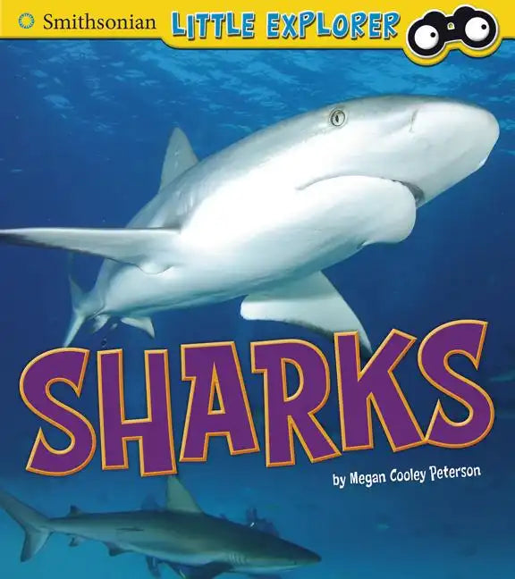 Sharks - Paperback