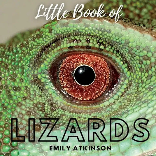 Little Book of Lizards - Paperback
