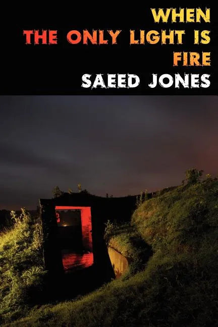When the Only Light Is Fire - Paperback