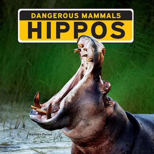 Hippos - Paperback