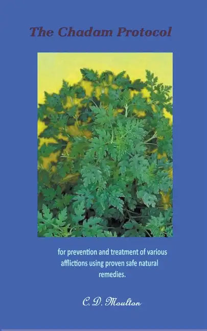 The Chadam Protocol - Paperback