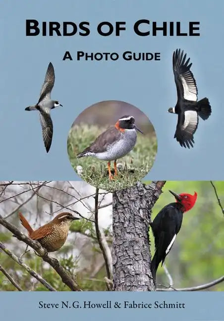 Birds of Chile: A Photo Guide - Paperback