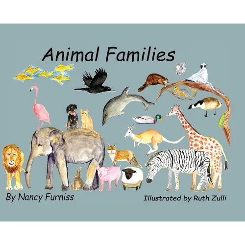 Animal Families - Hardcover