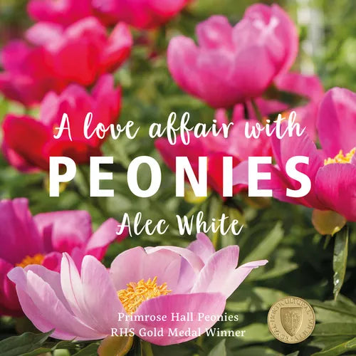 A Love Affair with Peonies - Hardcover