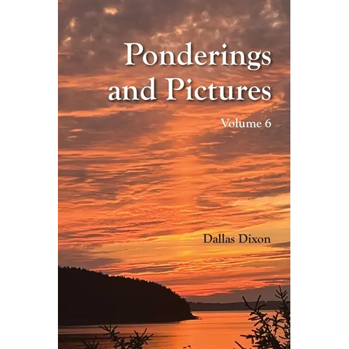 Pictures and Ponderings Vol. 6 - Paperback