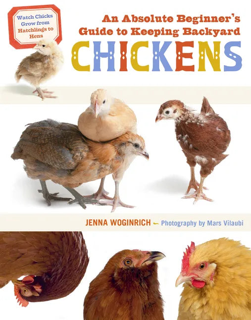 An Absolute Beginner's Guide to Keeping Backyard Chickens: Watch Chicks Grow from Hatchlings to Hens - Paperback