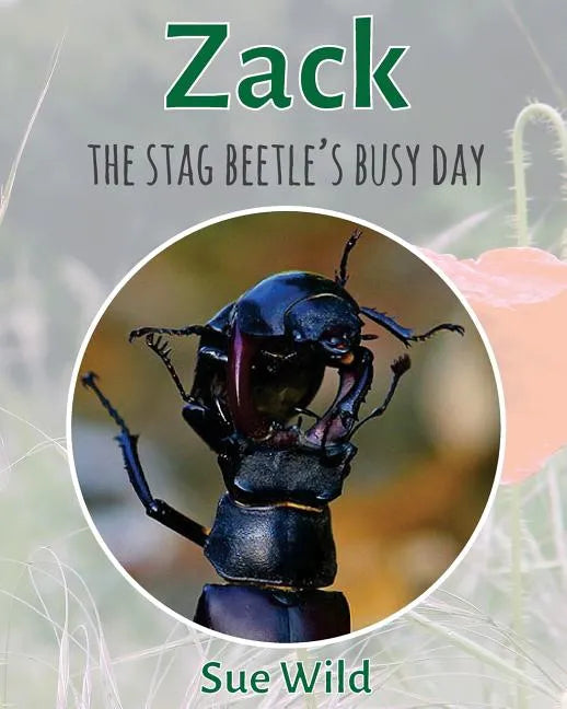 Zack: The stag beetle's busy day - Paperback