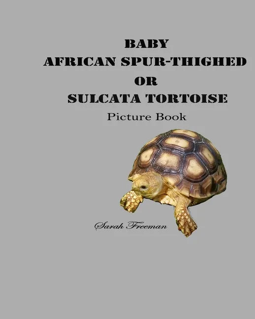 Baby African Spur-Thighed or Sulcata Tortoise Picture Book - Paperback