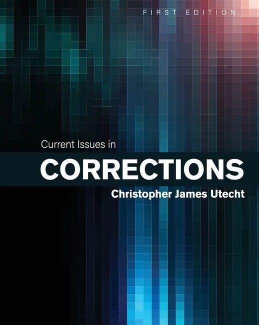 Current Issues in Corrections - Paperback