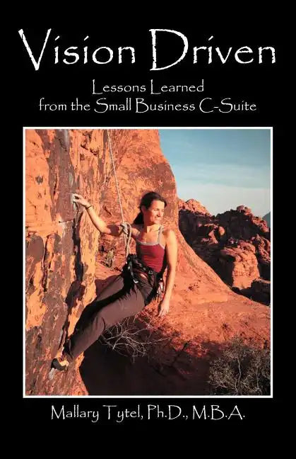 Vision Driven: Lessons Learned from the Small Business Isuite - Paperback