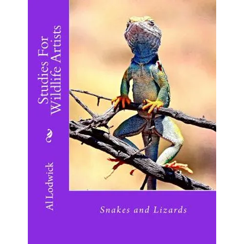 Snakes and Lizards: Studies For Wildlife Artista - Paperback