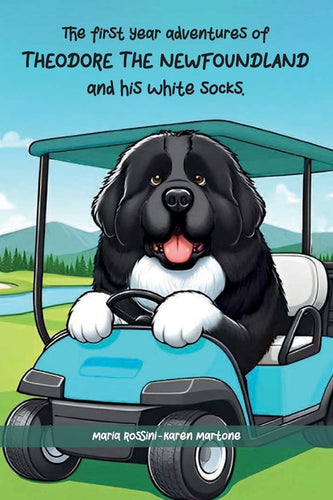 The First Year Adventures Of Theodore The Newfoundland And His White Socks - Paperback