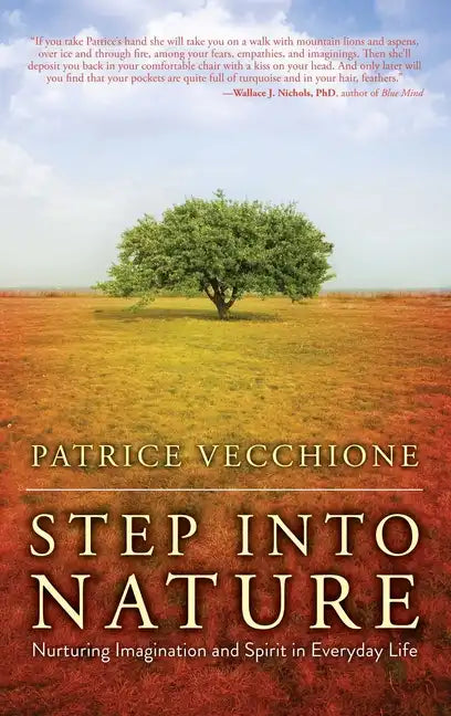 Step Into Nature: Nurturing Imagination and Spirit in Everyday Life - Paperback