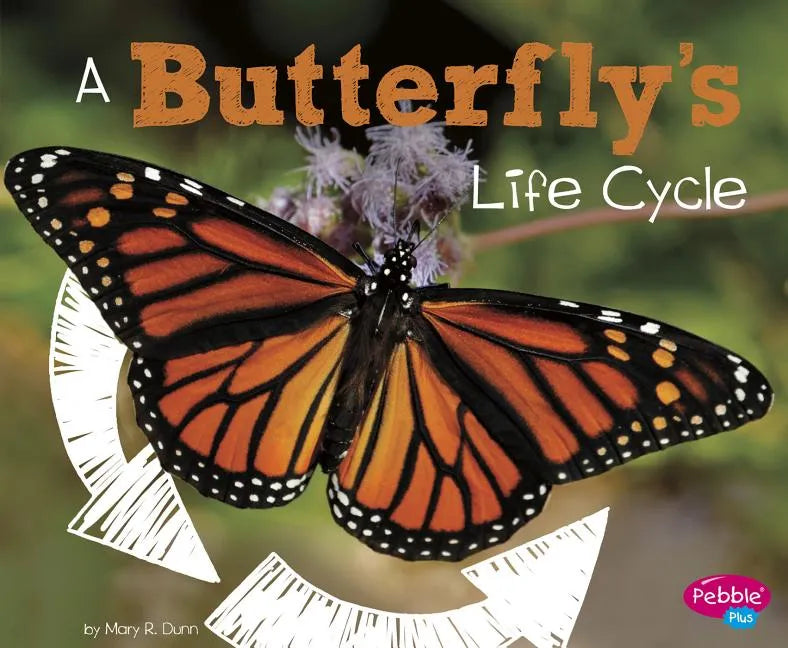 A Butterfly's Life Cycle - Paperback