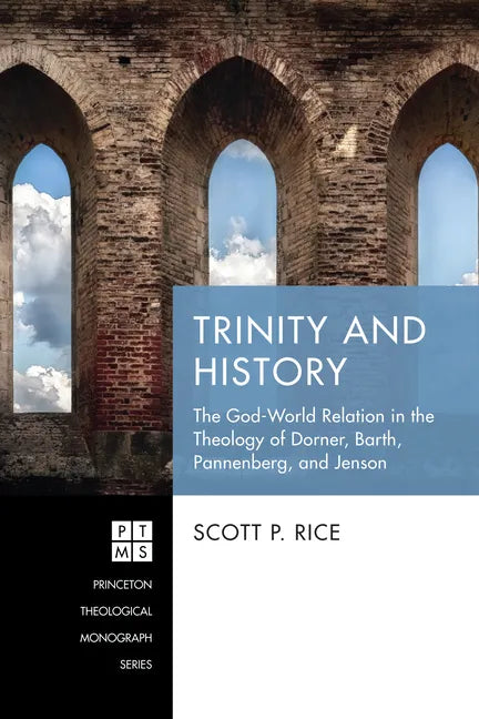 Trinity and History: The God-World Relation in the Theology of Dorner, Barth, Pannenberg, and Jenson - Paperback