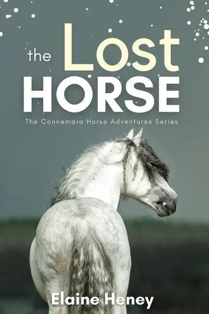 The Lost Horse - Book 6 in the Connemara Horse Adventure Series for Kids - Paperback